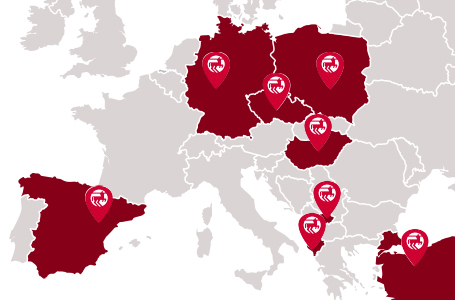 ROSSMANN International