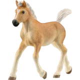 13951 Haflinger Fohlen