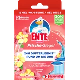 Frische-Siegel Blüten-Oase Nachfüller