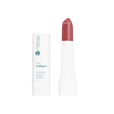 Vegan Collagen Plumping Color Lipstick 01 Choco