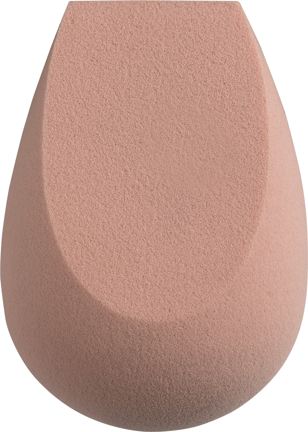 Sponge Smart Blender Perfection