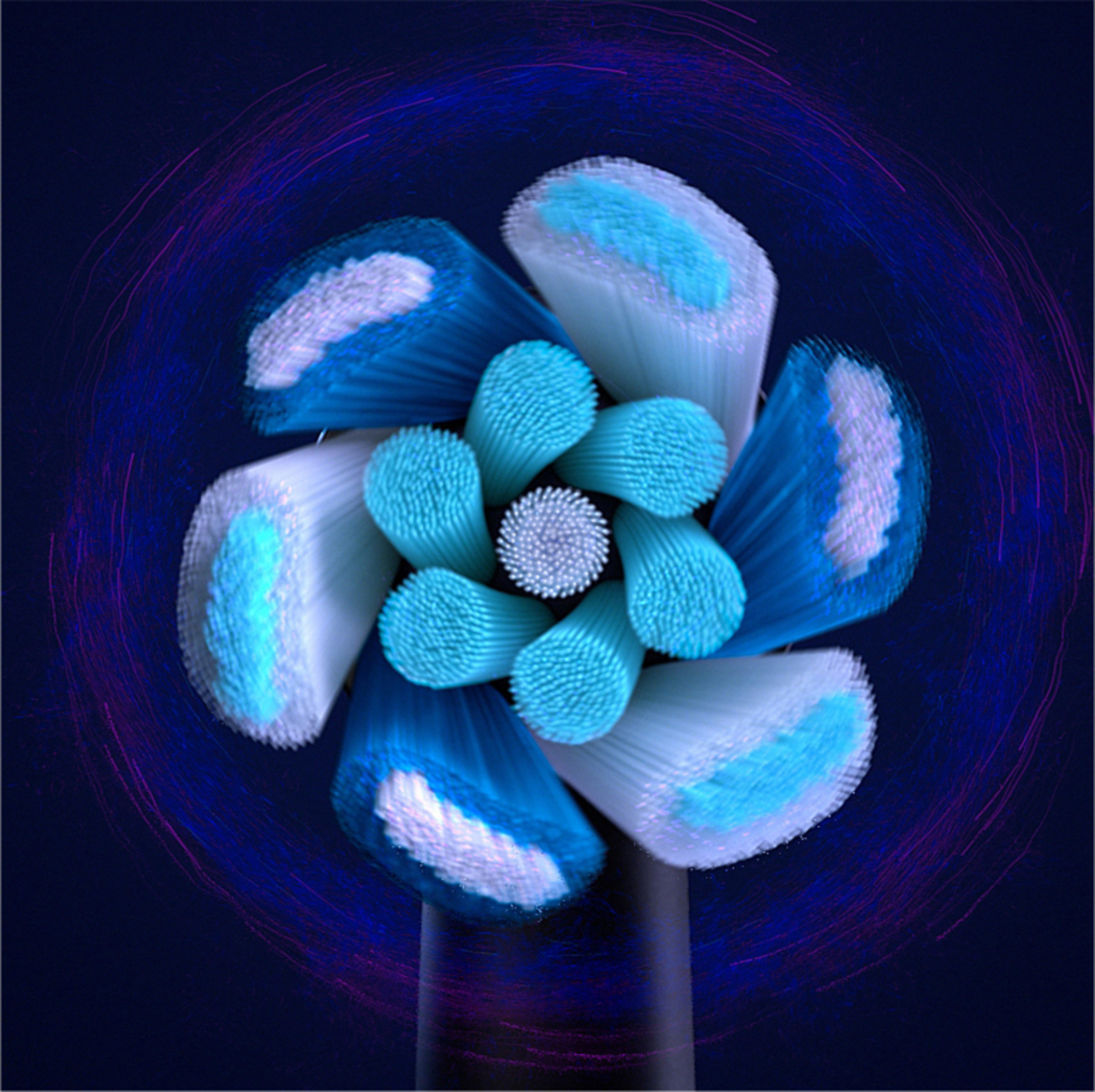 رؤوس فرش التنظيف iO التنظيف المطلق أسود 7