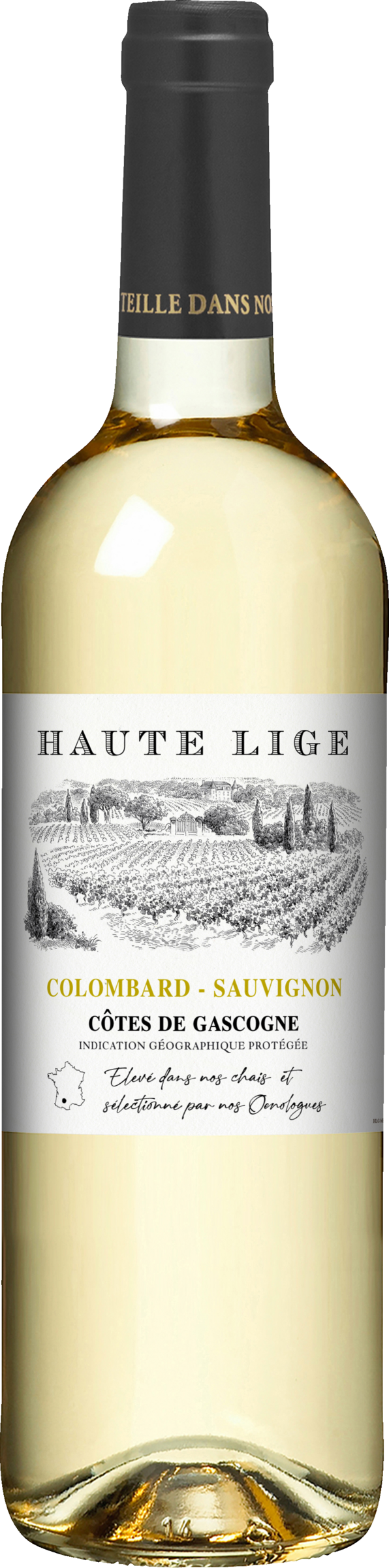 Haute Lige HAUTE LIGE Colombard - Sauvignon Blanc