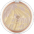 Catrice Glowlights Highlighter 010 Rosy Nude