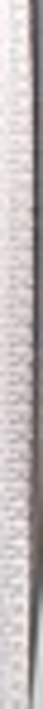 DEKOWELT Geschenkband Doppelsatin weiß