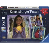 Disney Wish Puzzle