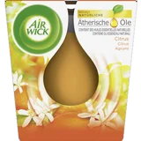 Wohlfühl-Duftkerze Citrus