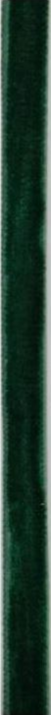 DEKOWELT Geschenkband Samt dunkelgrün