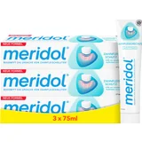 meridol Zahnpasta Zahnfleischschutz Multipack