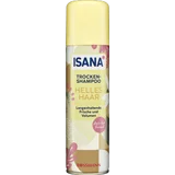 Trockenshampoo Helles Haar