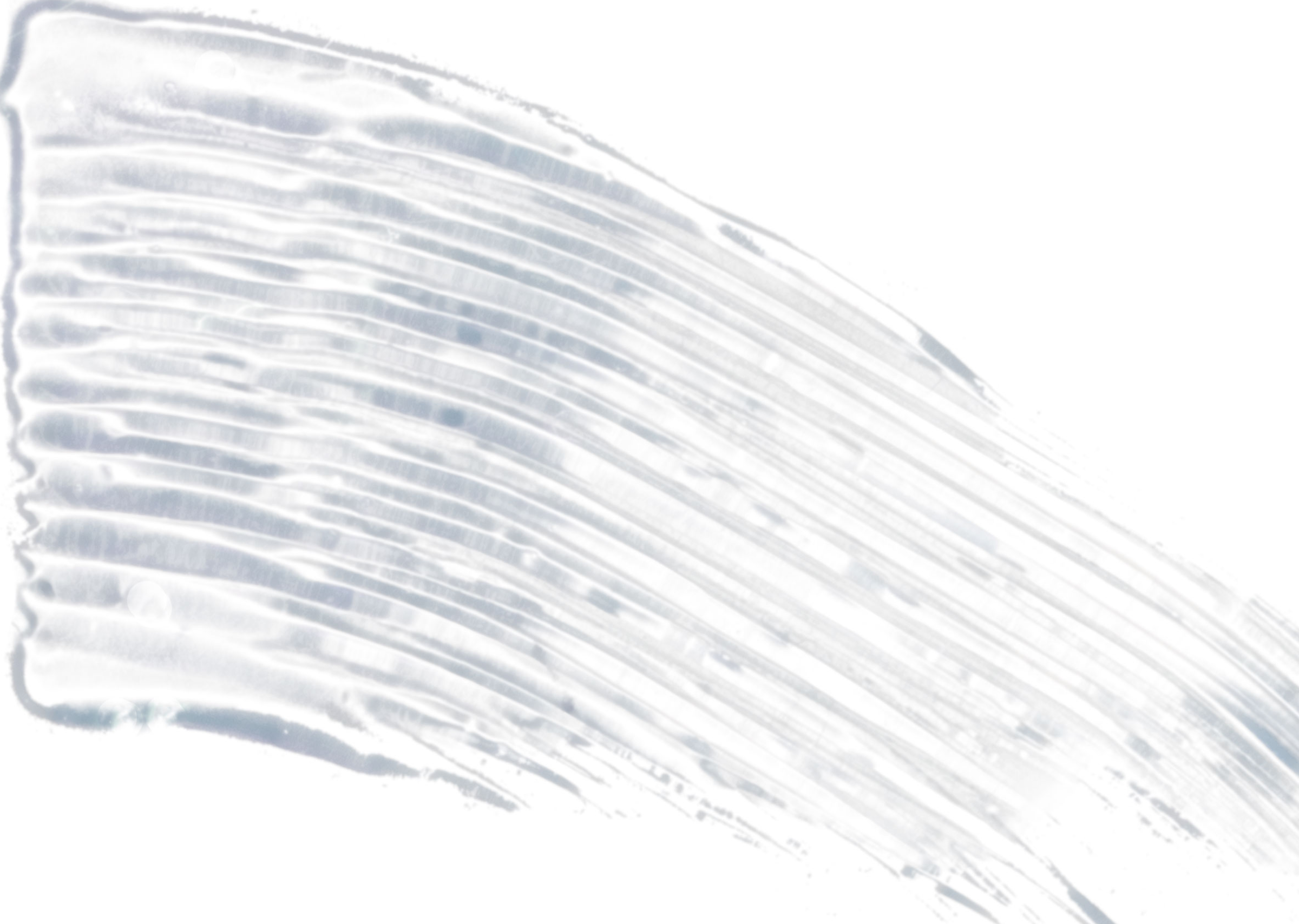 wet n wild Mega Clear Brow & Lash Mascara online kaufen rossmann.de