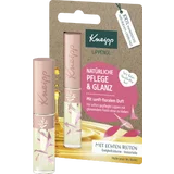 Lippenöl Ewigkeitsblume
