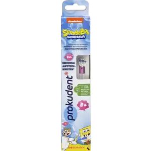 رؤوس فرشاة عالمية* SpongeBob