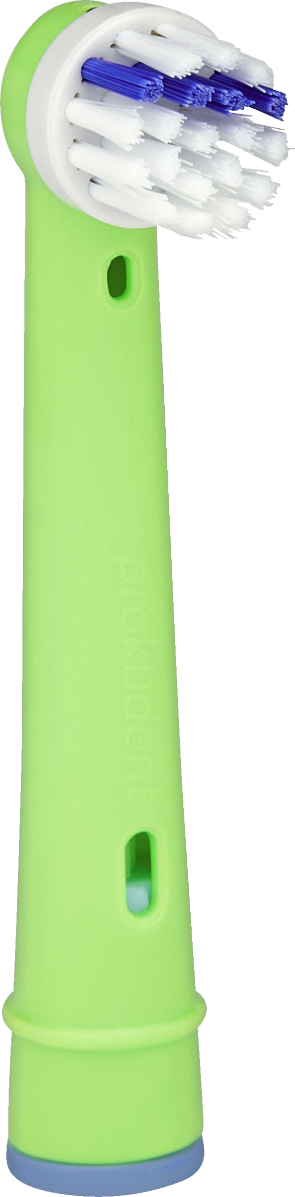 رؤوس فرشاة عالمية* SpongeBob 3