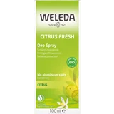 Citrus Fresh Deospray