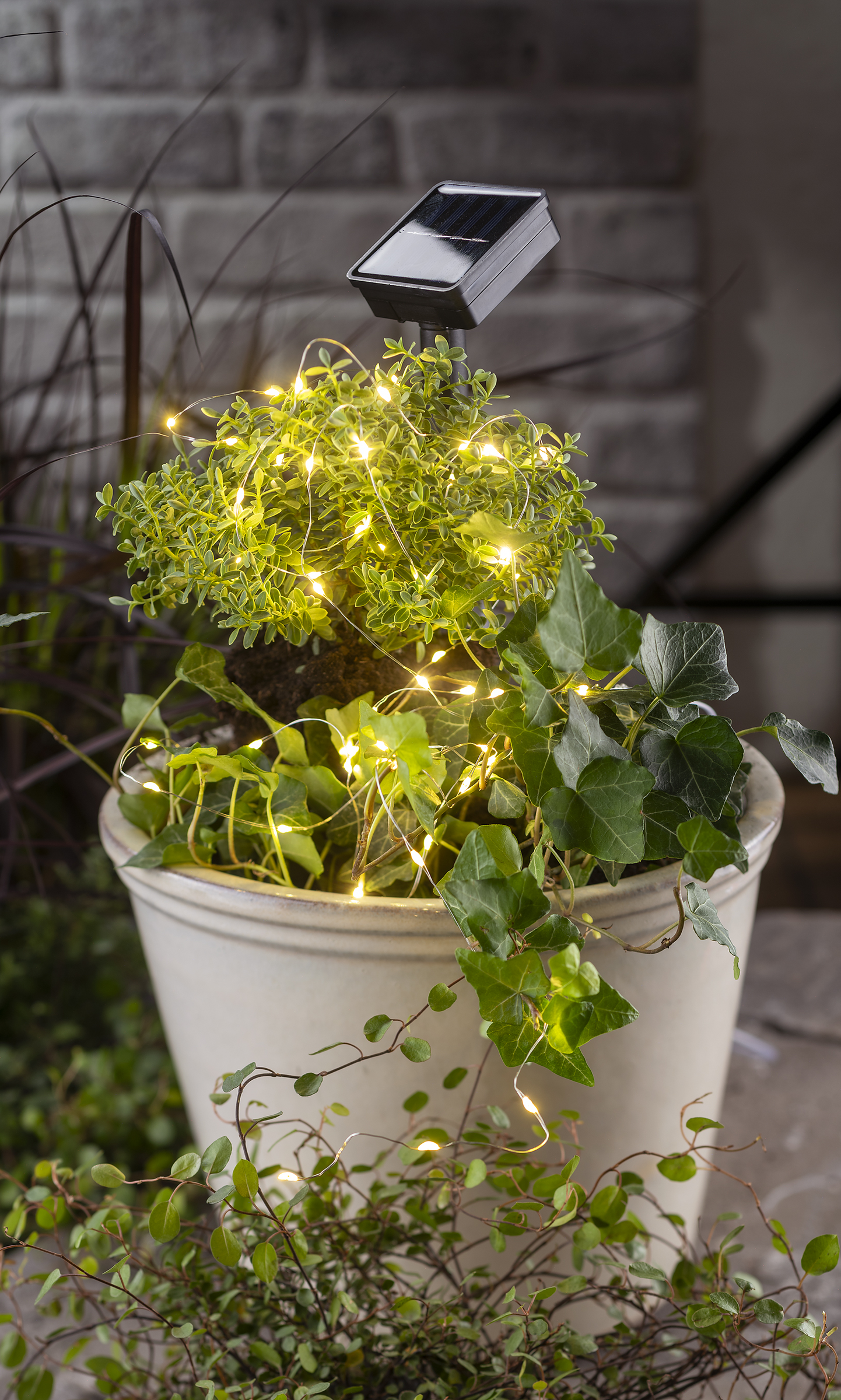 IDEENWELT SolarMetalldrahtLichterkette online kaufen rossmann.de