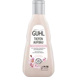 Tiefen Aufbau Reparatur Shampoo