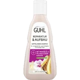 Reparatur & Aufbau Auffüllendes Shampoo