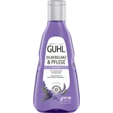 Silberglanz & Pflege Shampoo