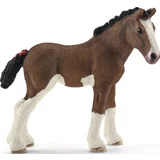 13810 Clydesdale Fohlen