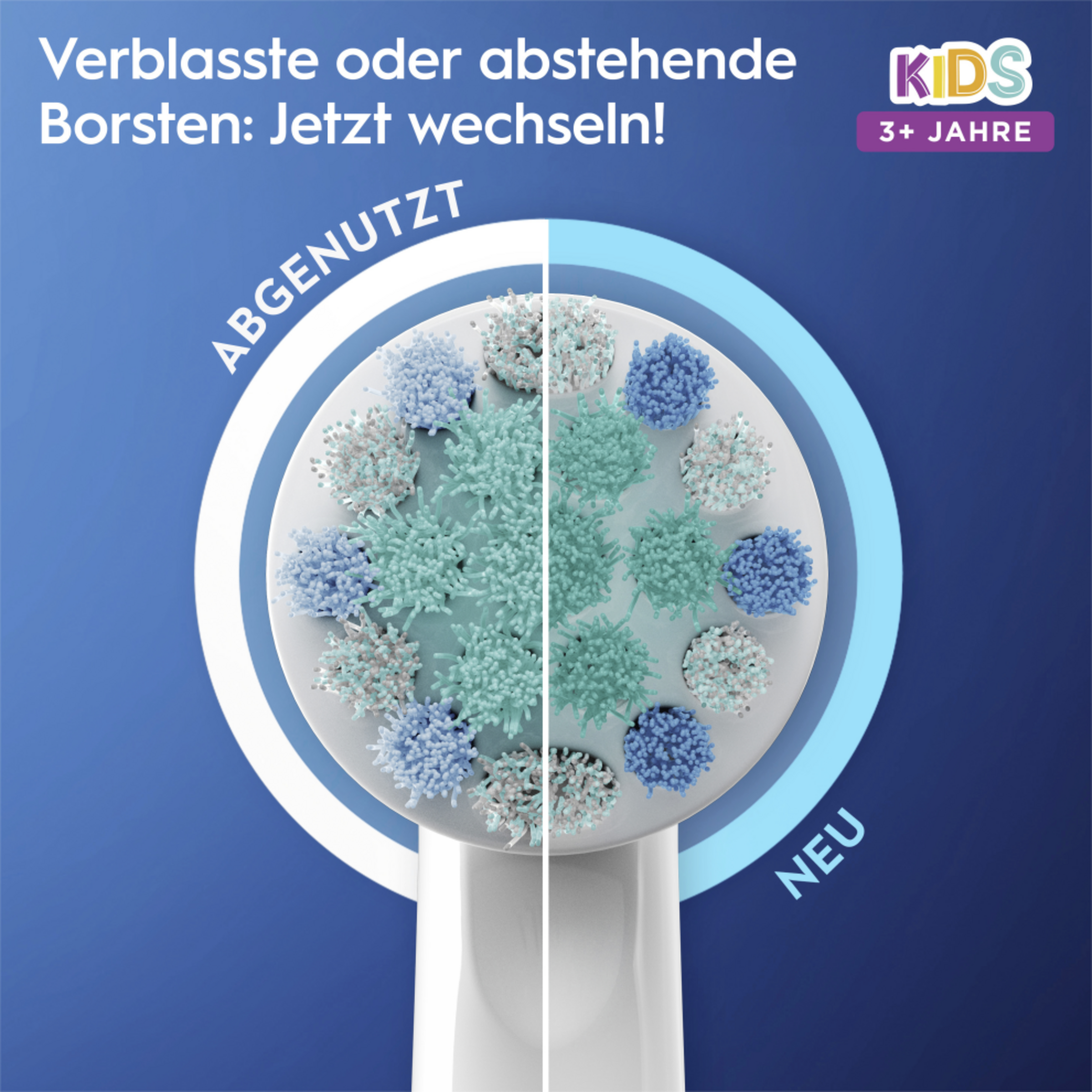 رؤوس فرشاة إضافية Kids سبايدرمان 6