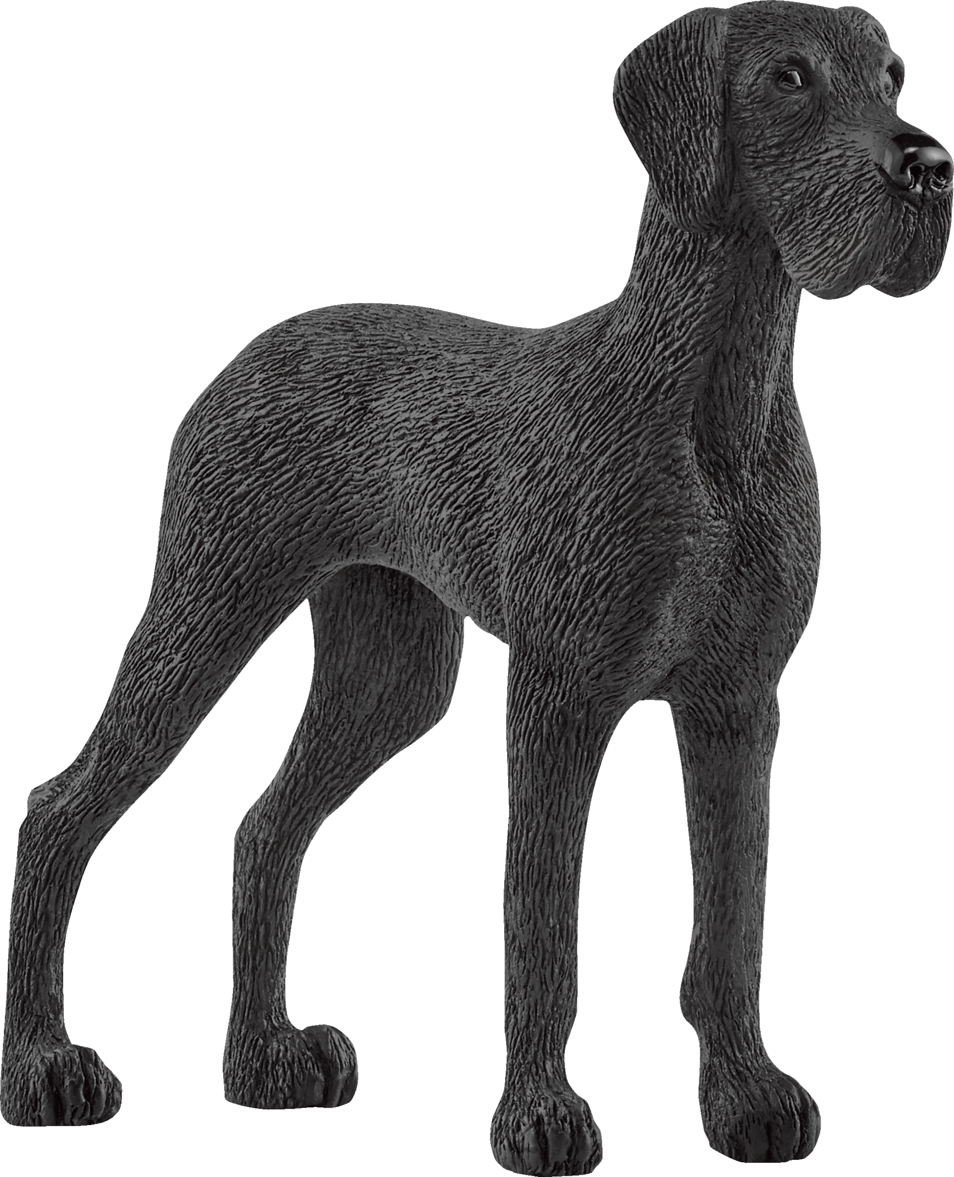 13962 Dänische Dogge