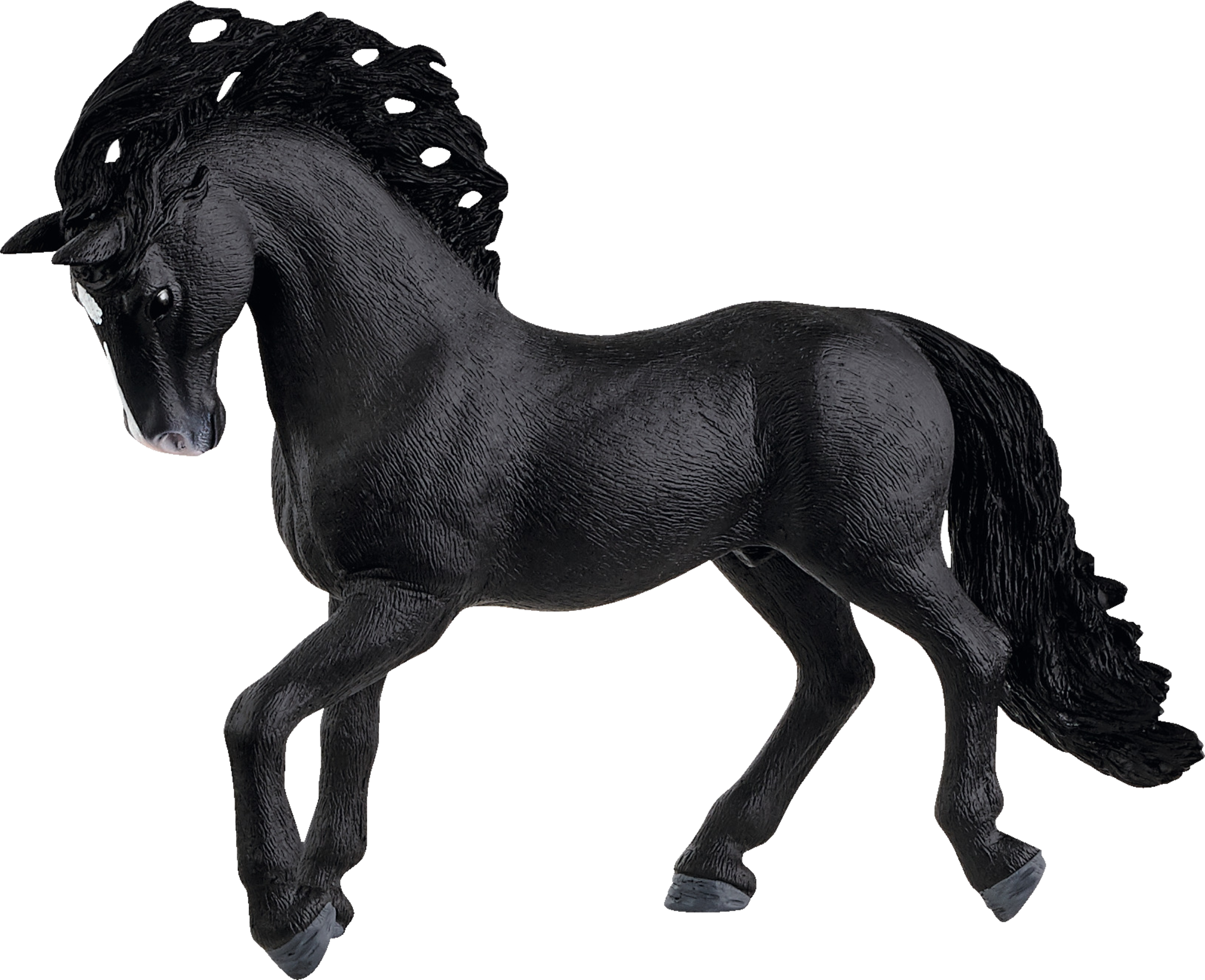 13923 Pura Raza Española Hengst