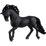 13923 Pura Raza Española Hengst