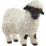 13965 Walliser Schwarznasenschaf