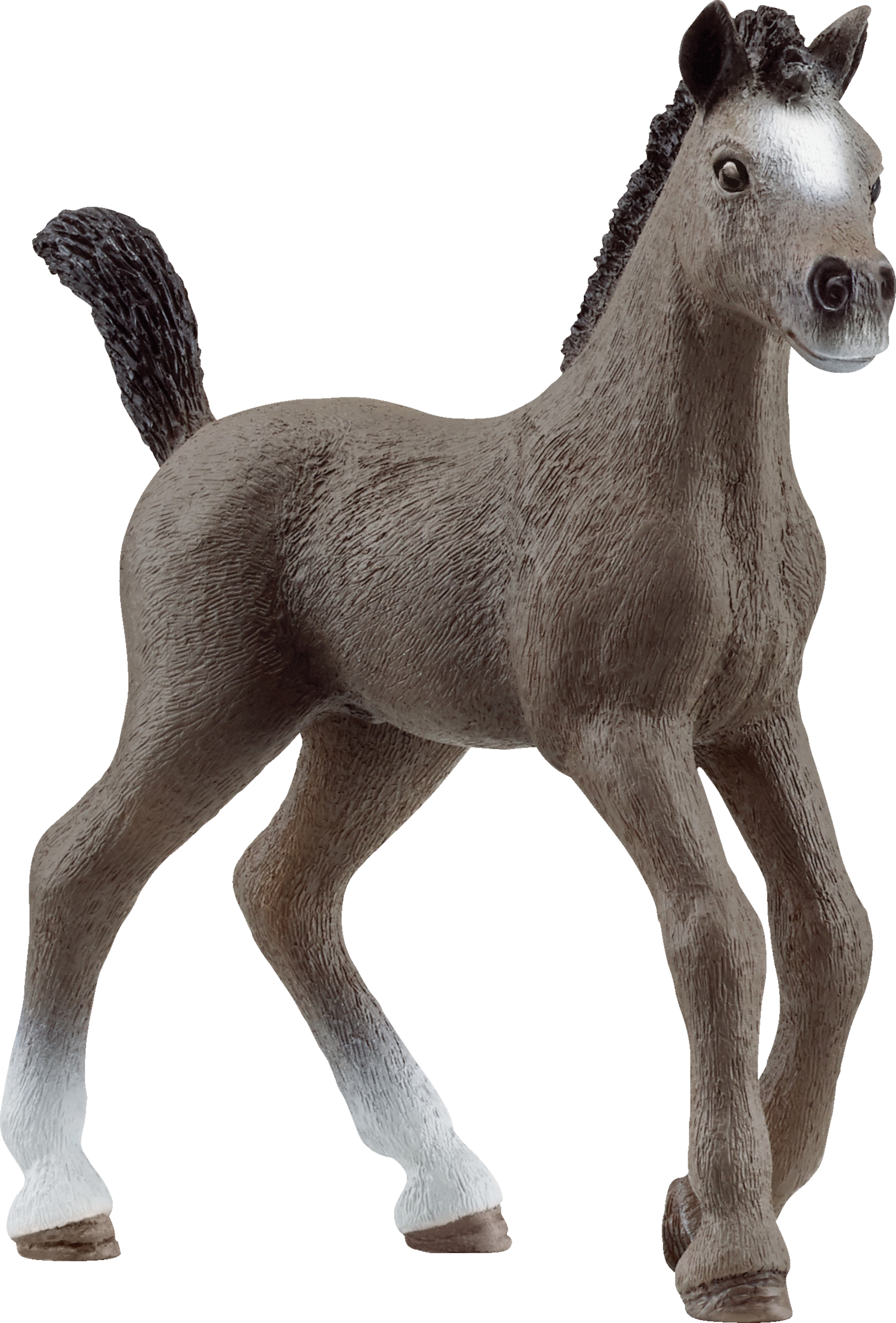 13957 Cheval de Selle Francais Fohlen