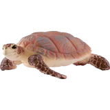 14876 Echte Karettschildkröte