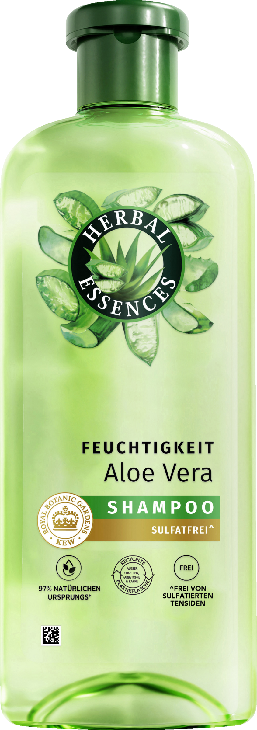 Haarshampoo Feuchtigkeit Aloe Vera
