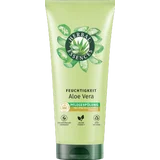 Pflegespülung Feuchtigkeit Aloe Vera