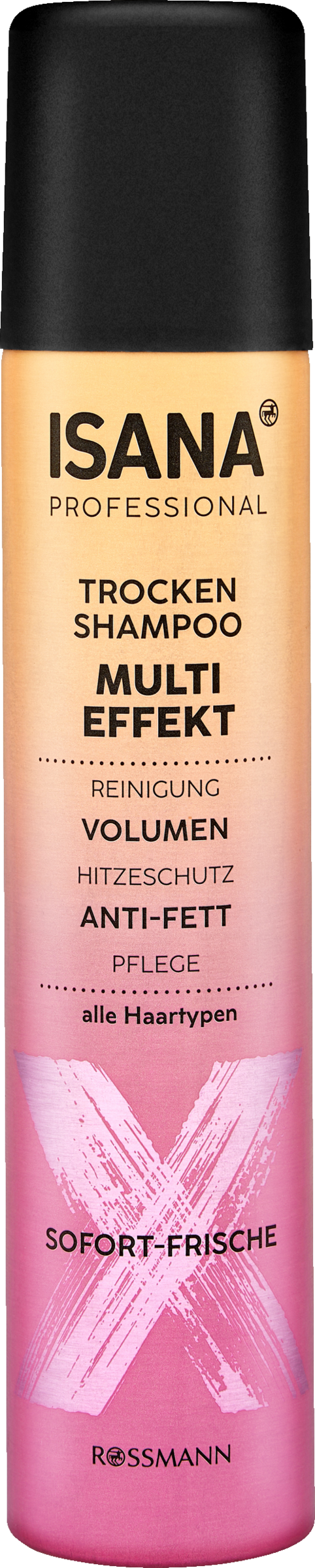 ISANA PROFESSIONAL Trockenshampoo Multi Effekt
