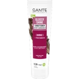 Glossy Shine Conditioner
