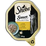Sauce Collection mit Pute in heller Sauce