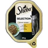 Selection in Sauce mit Kalb & Truthahn in Sauce