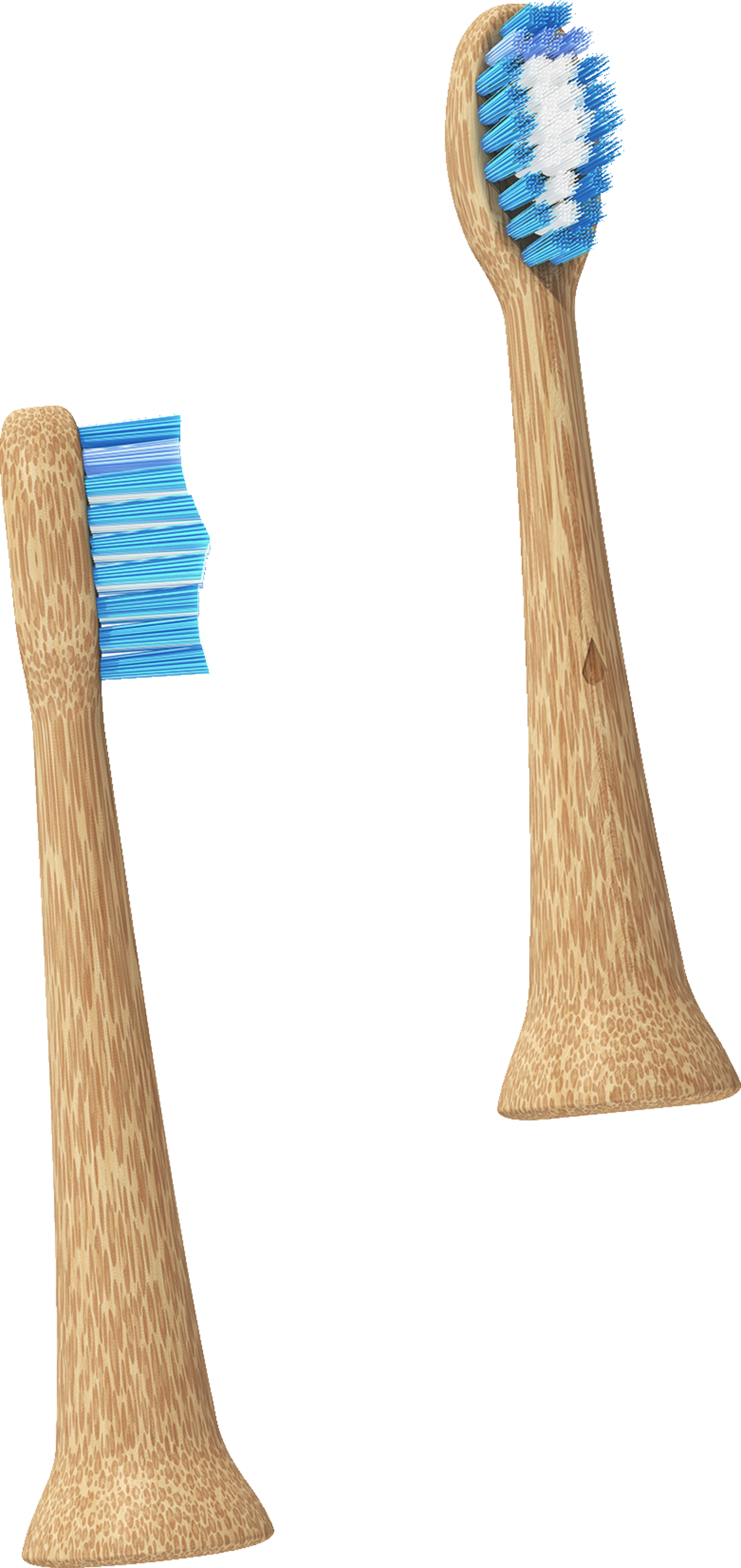 رؤوس استبدال Bamboo Sonic Professional Universal متوسطة 3