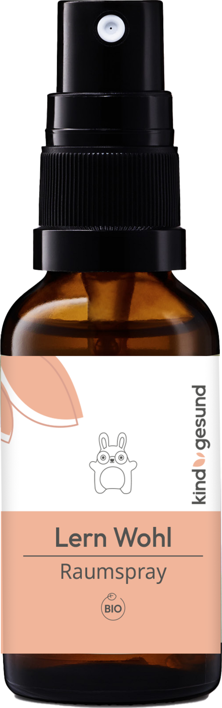 kindgesund Bio Lern Wohl Raumspray