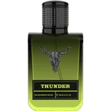 THUNDER for him, EdP 100 ml