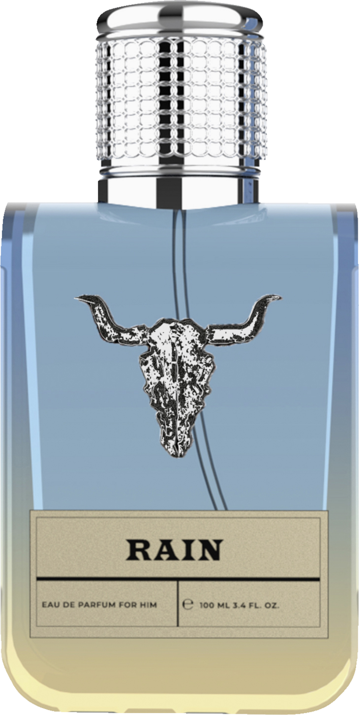 RAIN for him, EdP 100 ml