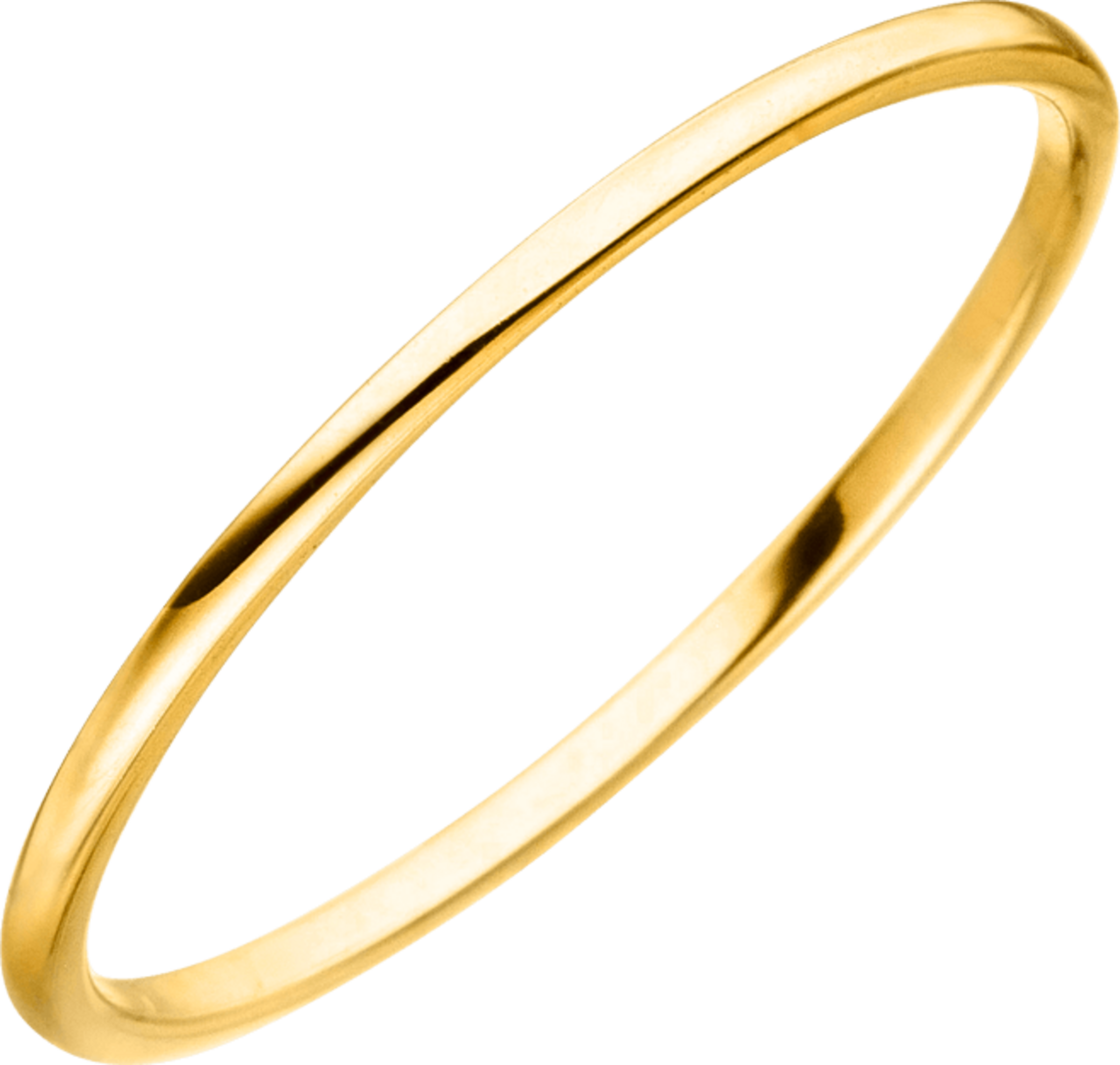 PURELEI Lihini Ring gold Gr. 58