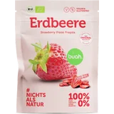 Bio Erdbeere