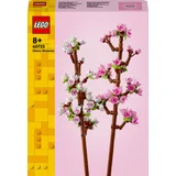 40725 Kirschblüten