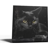 Samtpfote Katzen Adventskalender 2025