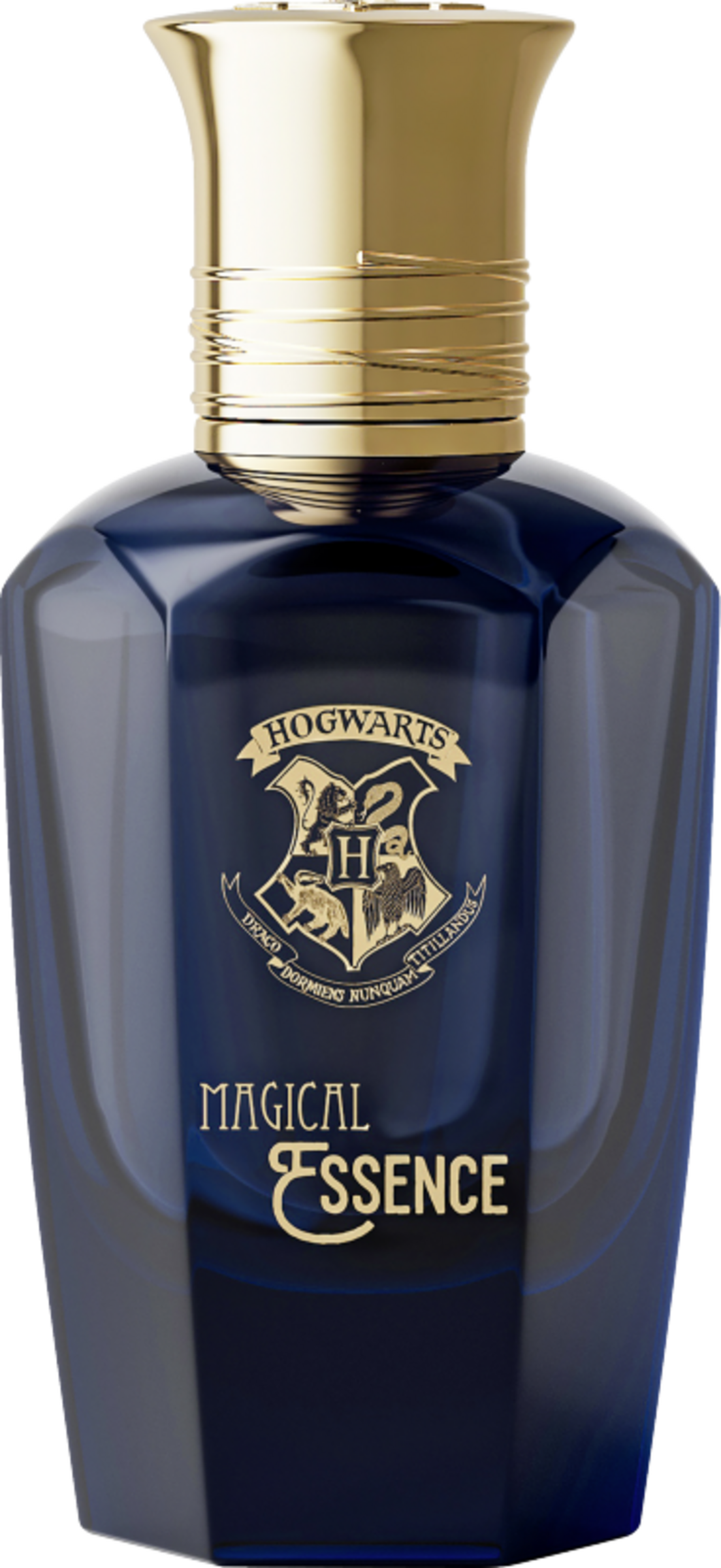 Harry Potter Magical Essence Wisdom Man, EdP 50 ml