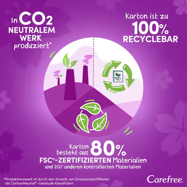 Slipeinlagen Plus Large