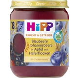 Bio Frucht und Getreide Blaubeere Johannisbeere in Apfel mit Hafer