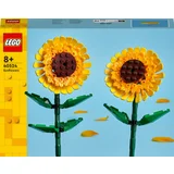 40524 Sonnenblumen