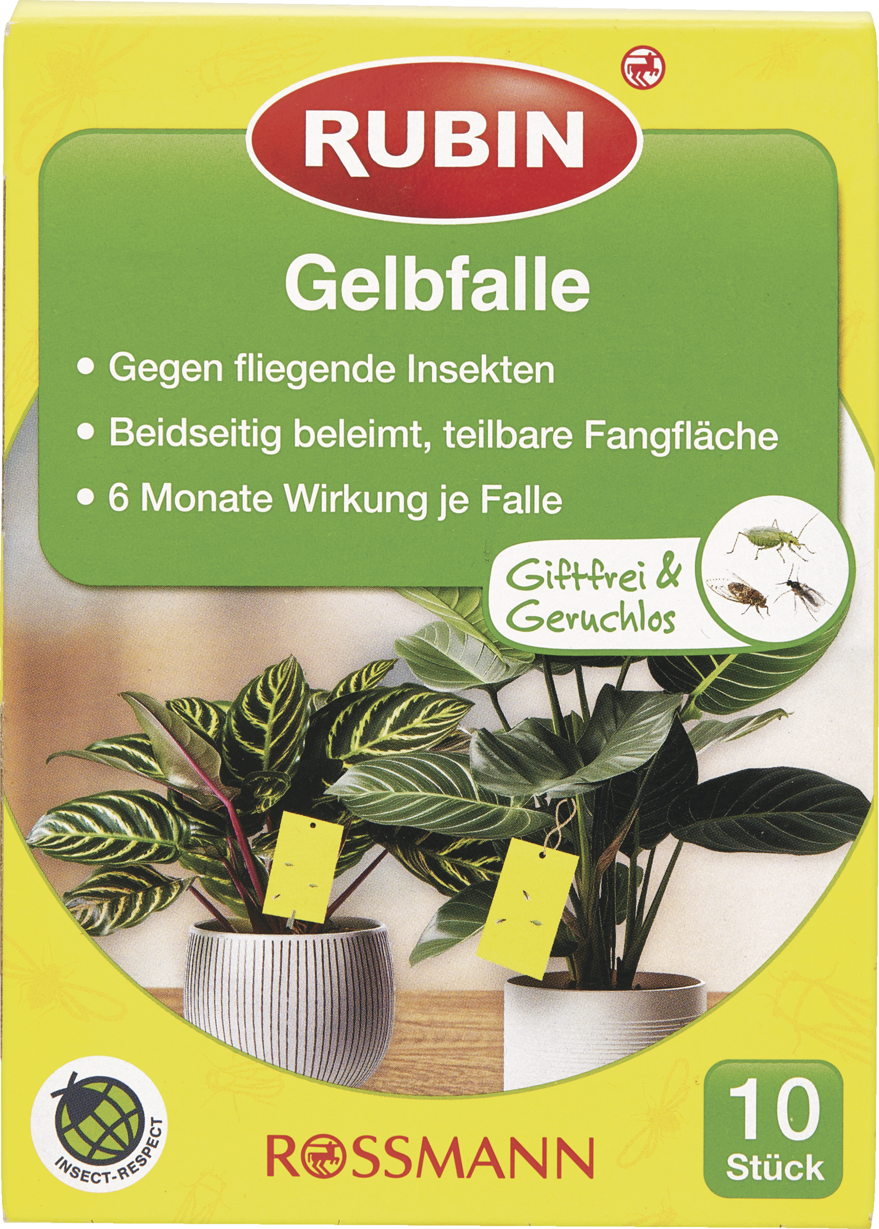 RUBIN Gelbfalle